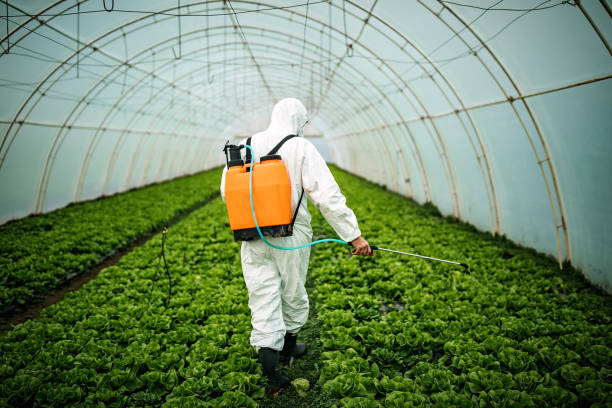 Best Best Pest Control Companies  in Hempstead, TX