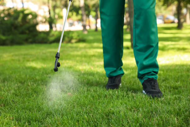 Best Pest Control Near Me in Hempstead, TX