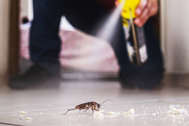 Best Commercial Pest Control Services  in Hempstead, TX