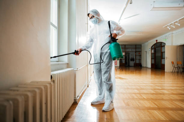 Best Pest Control for Homes  in Hempstead, TX