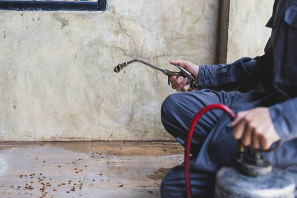 Best Emergency Pest Control  in Hempstead, TX